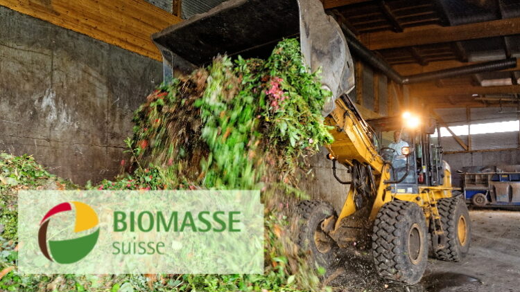 Biokunststoffe in der Umwelt und im Grüngut