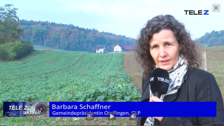 201026-TeleZ-Steindler.jpg