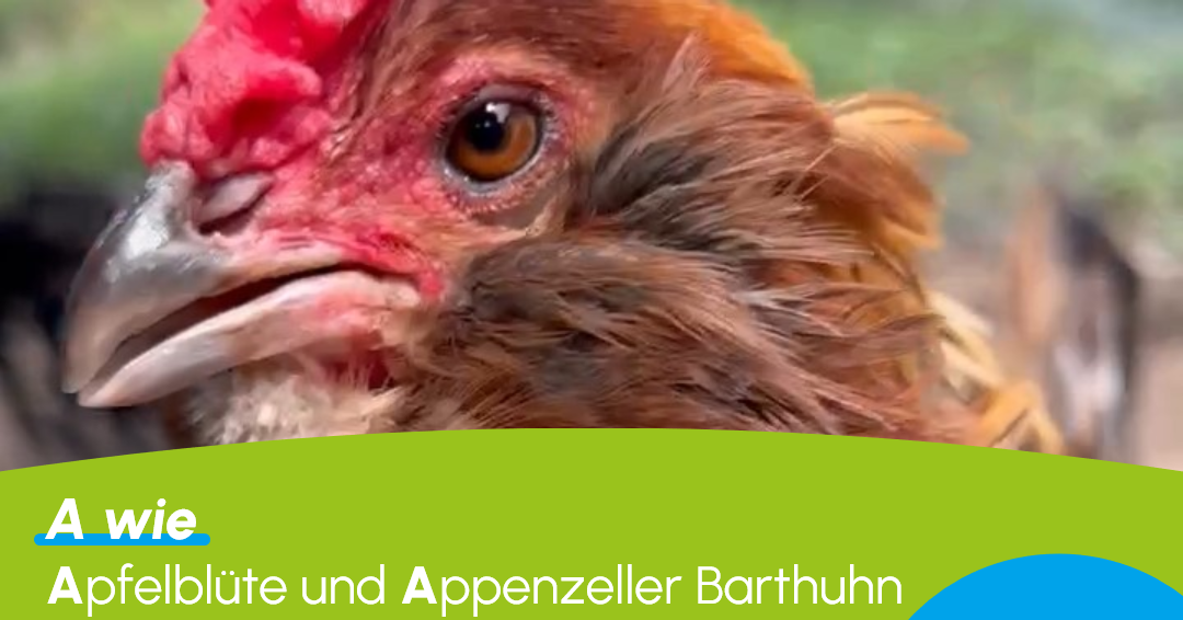 A_grün_q.png