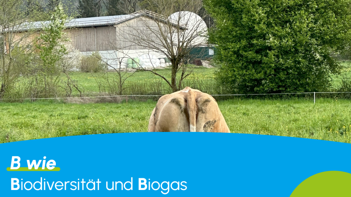 B_blau-q-16_9.png