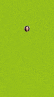 test.gif