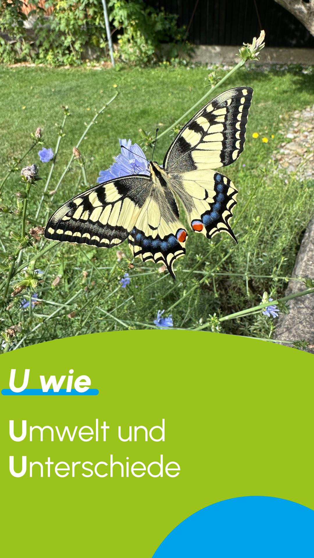 u-hoch.jpg